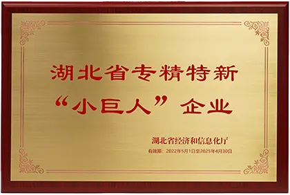 專精特新小巨人