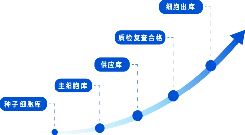 标准化细胞库管理