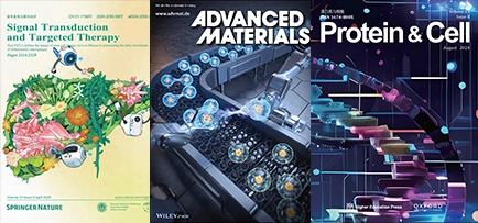 ADVANCED MATERIALS ADVANCED FUNCTIONAL MATERIALS Nano Today