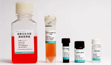 成骨誘導(dǎo)分化培養(yǎng)基