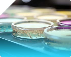 細(xì)胞學(xué)堂