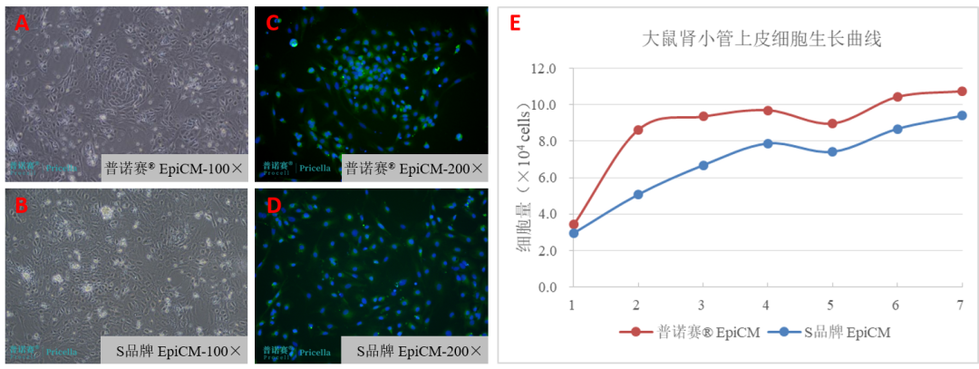 上皮細(xì)胞完全培養(yǎng)基EpiCM