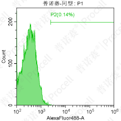 普諾賽神經(jīng)干細(xì)胞培養(yǎng)3代純度