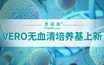 產(chǎn)品上新 | 普諾賽®無血清培養(yǎng)基系列再添新品！