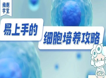 细胞拉丝的五大常见原因及解决方法