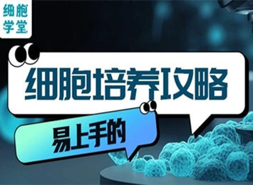 细胞学堂 | 293细胞系家族谱系大揭秘