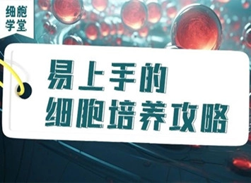 細胞培養(yǎng)中的小黑點，原來是它
