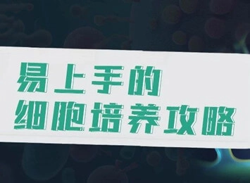 细胞学堂 | 如何解决bEnd.3细胞形态变化、难消化