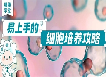 大鼠骨髓間充質干細胞的分離提取