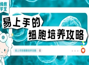 A-498細胞知識盤點