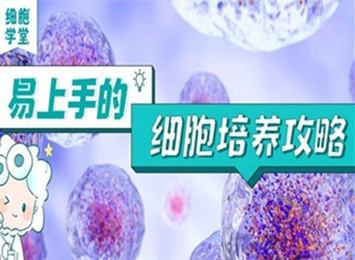 實驗室細(xì)胞計數(shù)指南