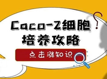 细胞学堂 | Caco-2细胞生长特性和常见问题解决策略