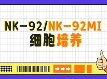 細(xì)胞學(xué)堂 | 培養(yǎng)NK-92/NK-92MI細(xì)胞時(shí)要注意什么？