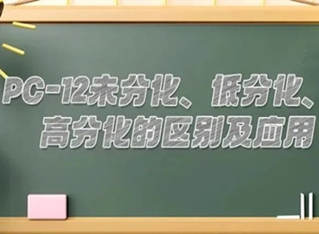 PC-12未分化、低分化、高分化的區(qū)別及應(yīng)用