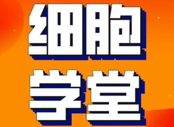 細(xì)胞學(xué)堂 | 脂質(zhì)體細(xì)胞轉(zhuǎn)染干貨分享