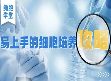 細(xì)胞學(xué)堂 | 有限傳代細(xì)胞代次管理秘籍