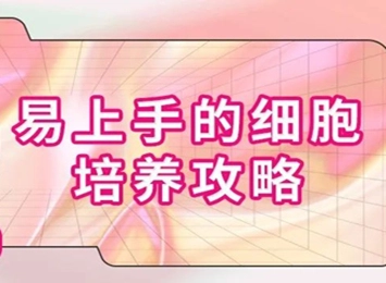 细胞学堂 | 如何将H9c2(2-1)养得更好?