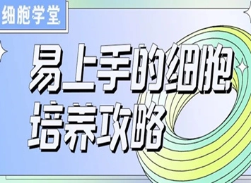 细胞学堂 | THP-1如何诱导分化为巨噬细胞和泡沫细胞?