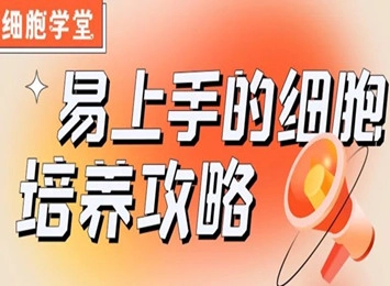 细胞学堂 | HMC3人小胶质细胞培养从零开始