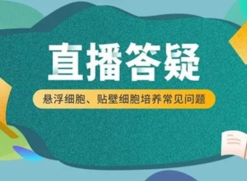 直播答疑 | 难养细胞培养常见问题及解决方法