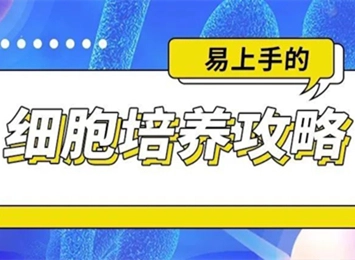 细胞学堂 | 培养BEAS-2B需要血清吗
