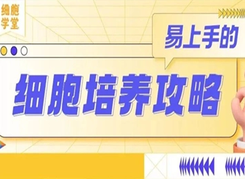 细胞学堂 | 为何Renca细胞形态异常