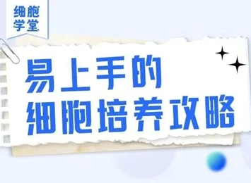 细胞学堂 | 神经元细胞漂浮问题处理大全