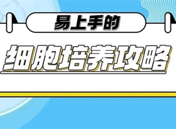 细胞学堂 | 如何提高THP-1转染效率?