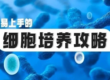 细胞学堂 | 贴壁细胞和悬浮细胞的冻存操作步骤及注意事项