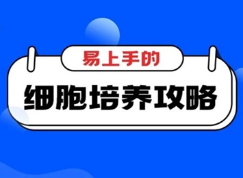 细胞学堂 | 注意这三点,让你的4T1细胞养得更漂亮