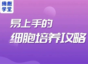 细胞学堂 | 脱落的293T细胞如何恢复正常