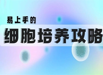 细胞学堂 | 如何解决悬浮细胞培养异常