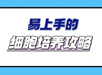 细胞学堂 | 微血管内皮细胞知识盘点