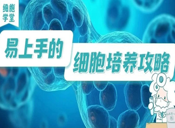 細胞學堂 | 細胞STR鑒定：確保細胞身份的金標準