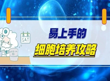 培养B16系列细胞必看知识点