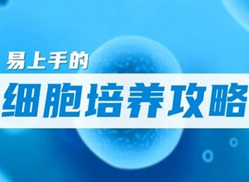 细胞学堂 | 如何判断细胞状态