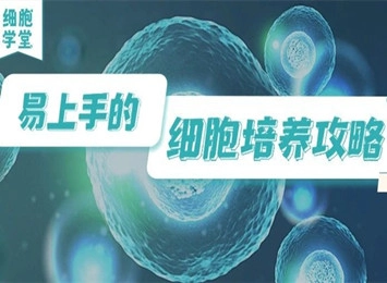 细胞空泡化现象产生原因及解决方法