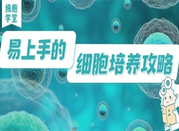 細胞學堂 | L-929細胞培養(yǎng)秘籍：新手也能輕松搞定！