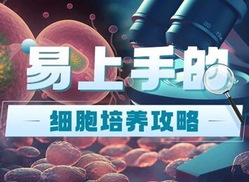 最全MKN-45細(xì)胞知識總結(jié)