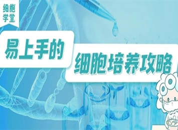 超详细的凋亡检测试剂盒选择指南!