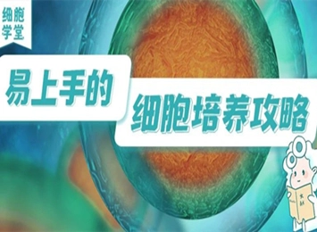 一次吃透MC3T3-E1 Subclone 14细胞的成骨诱导