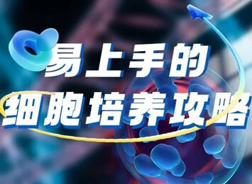 细胞学堂|NCl-H520 (人肺鳞癌细胞) 培养注意事项盘点