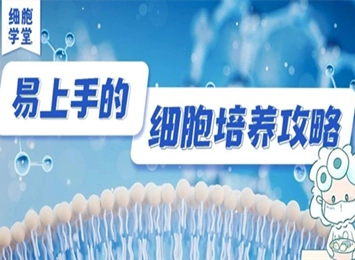 走近碱性成纤维细胞生长因子——bFGF