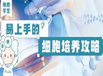 超詳細的3T3-L1細胞成脂誘導操作指南