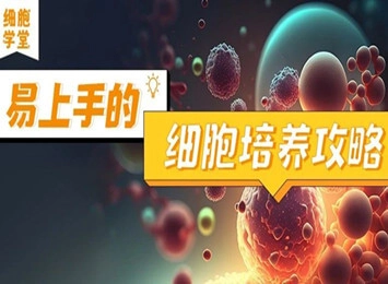 细胞学堂 | 从传代到换液,养好22RV1细胞