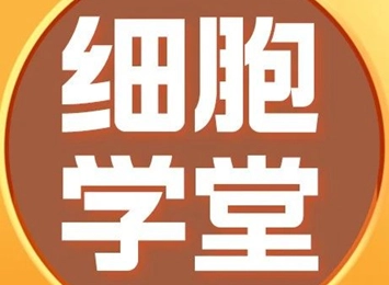 一文了解細胞爬片制作全過程