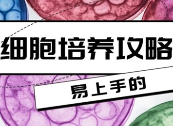 细胞学堂|MEG-01培养注意事项