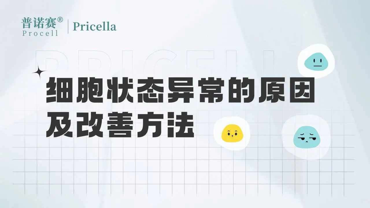 細(xì)胞狀態(tài)異常的原因及改善方法