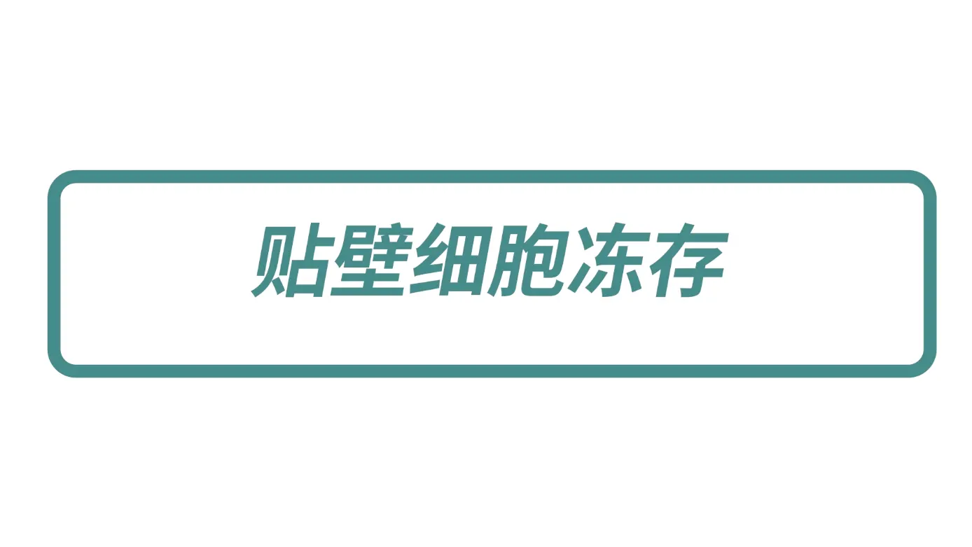 貼壁細胞的凍存