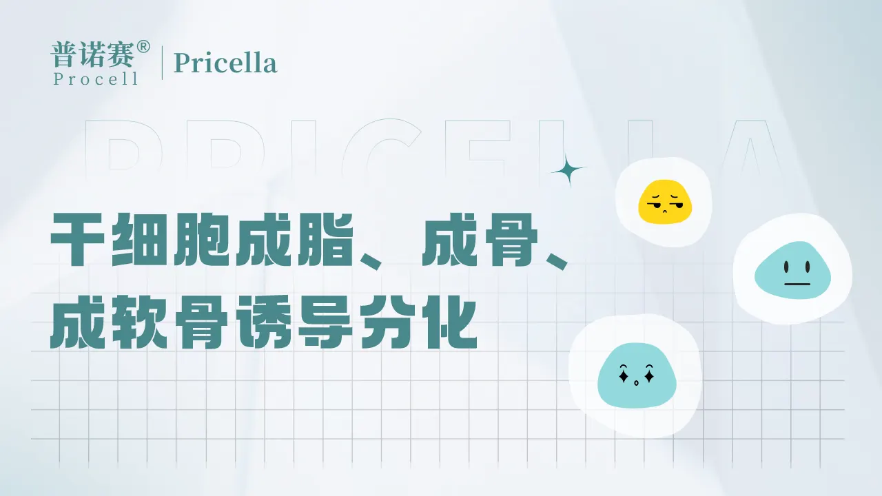 間充質(zhì)干細(xì)胞成脂、成骨、成軟骨誘導(dǎo)分化深度解析